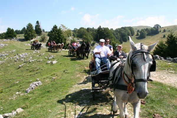 Готель Campeggio Branchetto Боско-К'єзануова Екстер'єр фото